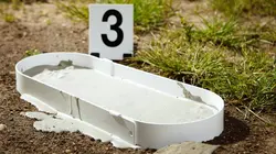 Snapped : fratrie meurtrière