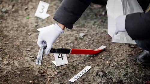 Snapped : les couples tueurs Joseph et Iryn Meyers