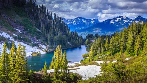 Snapped : noces de sang Graham et Johnson