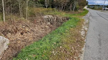 Le baiser de la mort