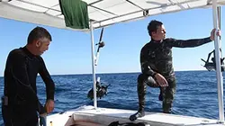 Visuel de Snipers des mers
