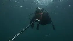Visuel de Snipers des mers
