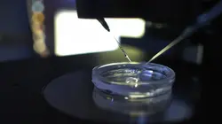 Social Freezing : Faire des enfants