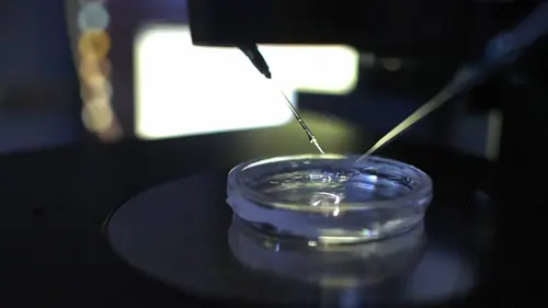 Casting Social Freezing : Faire des enfants