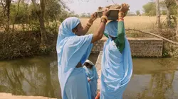 Soeurs de la terre