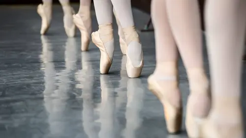 Soirée Hommage à Marius Petipa, Théâtre Mariinski