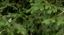 SOKO Kitzbühel  S14E12 Le masque de la mort