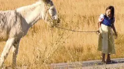 Visuel de Sol branco