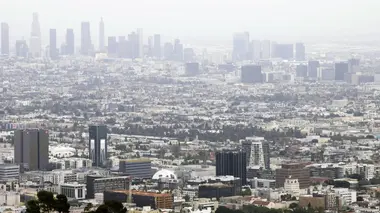 "Soleil vert" et alerte rouge : quand Hollywood sonnait l'alarme