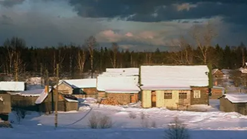 Solovki, la bibliothèque disparue