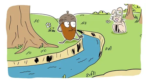 Solutions cachées S01E15 La restauration des forêts