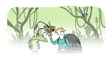 La protection des tourbières