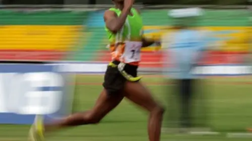 Sommes-nous faits pour courir ?