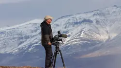 Sophie, la grizzly du Yukon