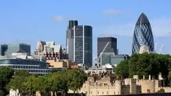 Sophie Lionnet, le meurtre de la nounou française