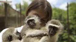 SOS animaux orphelins Une nouvelle famille