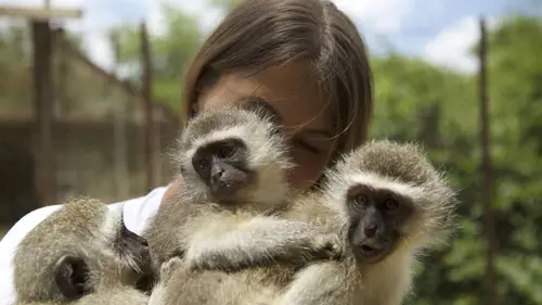 Casting SOS animaux orphelins Une nouvelle famille