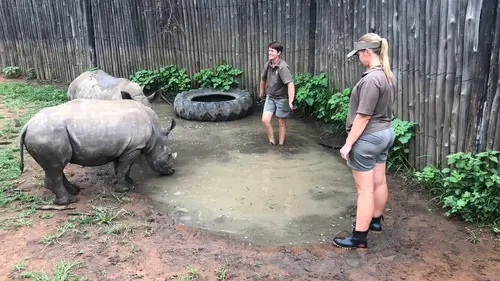 SOS animaux orphelins Prendre son envol