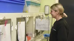 SOS animaux sauvages