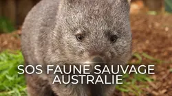 Visuel de SOS faune sauvage - Australie