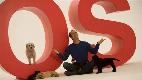 Casting SOS mon chiot a besoin d'aide ! E06 Big Bad Stella