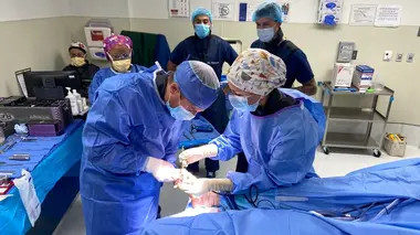 Des pieds comme de la cire