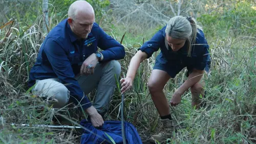 Casting SOS Serpents