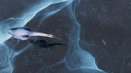 Sous la glace