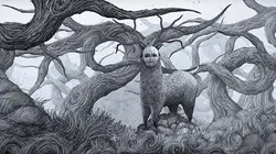 Sous la peau, l'écorce