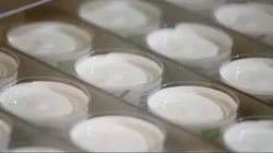 Sous le bio la malbouffe