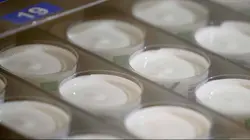 Sous le bio la malbouffe