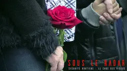 Sous le radar S02E02 Sécurité routière : le choc des vidéos