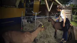 Sous le radar S02E01 Maltraitance animale : les citoyens enquêtent