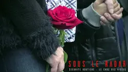 Sous le radar S02E02 Sécurité routière : le choc des vidéos