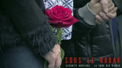 Sous le radar S02E02 Sécurité routière : le choc des vidéos