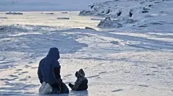 Visuel de Sous les étoiles du pôle