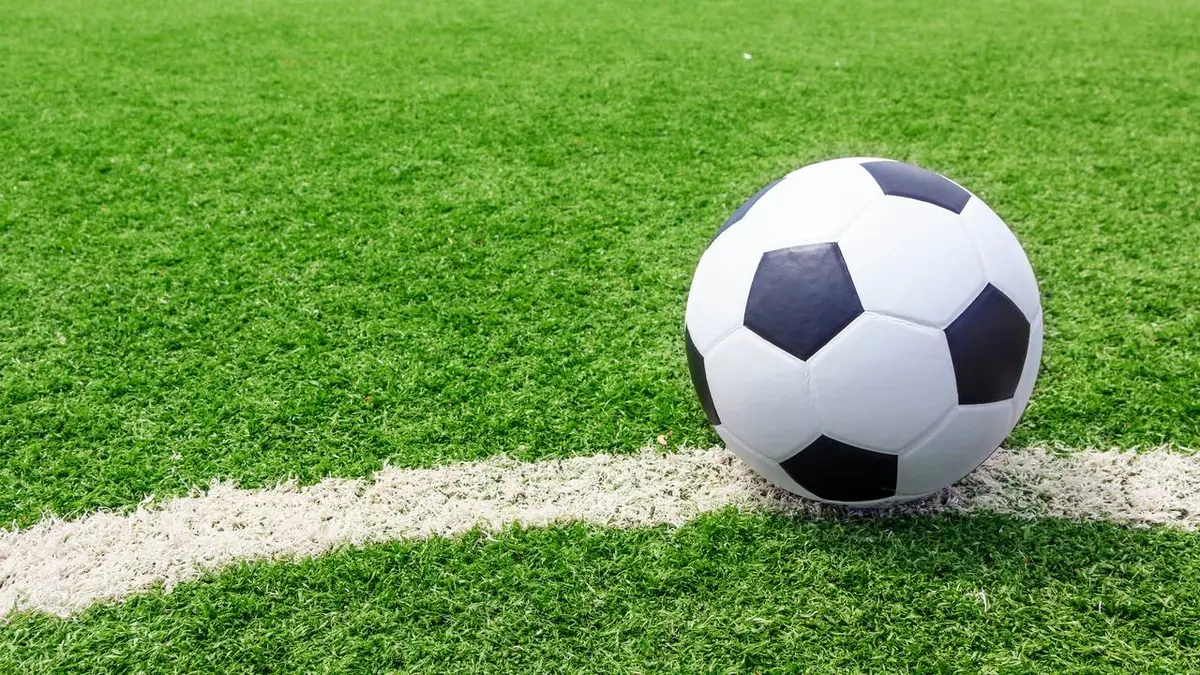 Southampton / Wolverhampton Football Premier League 2020/2021