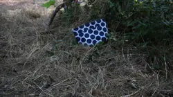 Souvenir mortel Enquête en ligne