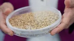 Sur Science & Vie TV à 20h48 : Space Farmers : se nourrir dans l'espace