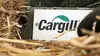Cargill : la faim justifie les moyens ?