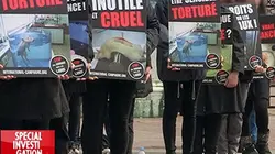 Spécial investigation Cobayes : bye, bye ?