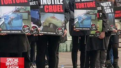 Spécial investigation Cobayes : bye, bye ?