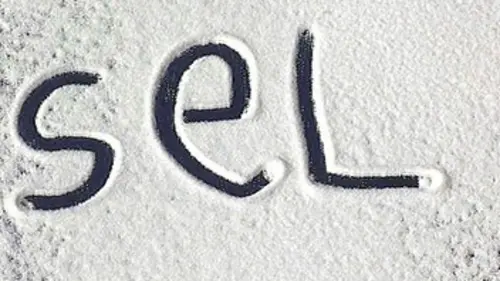 Spécial investigation Sel, notre poison quotidien