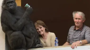 L'enfant et l'animal : Animal, mon frère