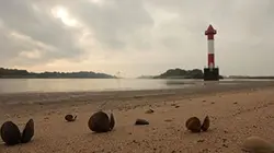 Splendeurs de la mer du Nord