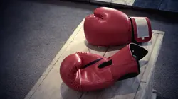 Sports de combat Imperial Fight