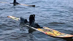 Visuel de Sports nautiques Polynésie Va'a 2017