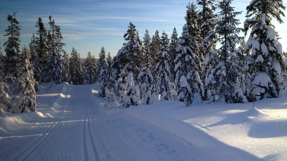 Sprint libre par équipes dames et messieurs Ski de fond Coupe du monde 2020/2021