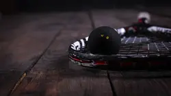 Squash : Championnat du monde individuel junior