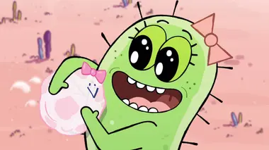 Le membrane de protection